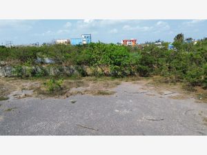 Terreno en Venta en Miguel Angel de Quevedo Veracruz