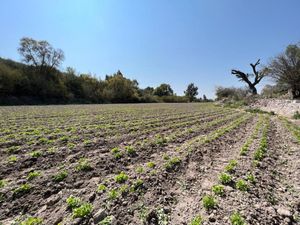 Terrenos en venta en Tasquillo, Hgo., México