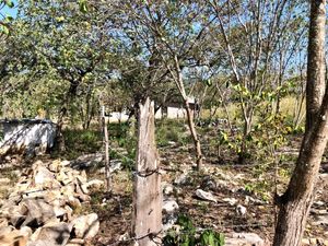 Terreno en venta en Berriozabal