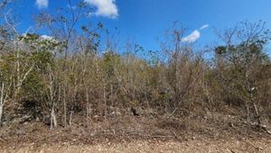 Amplio Terreno Privado en Yaxkukul Merida Yucatan