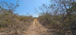 Amplio Terreno Privado en Yaxkukul Merida Yucatan