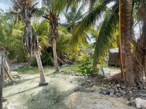 Terreno en Isla Holbox Mexico de 600 m2