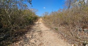 Amplio Terreno Privado en Yaxkukul Merida Yucatan