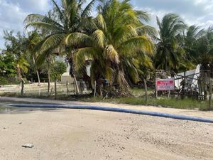 Terreno en Isla Holbox Mexico de 600 m2