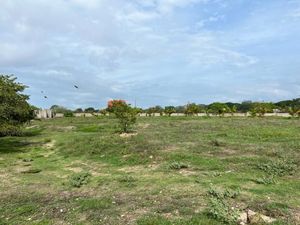 TERRENO CON BODEGA