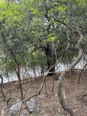 OFREZCO TERRENO EN VENTA EN JARDINES COLONIALES