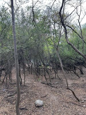 OFREZCO TERRENO EN VENTA EN JARDINES COLONIALES