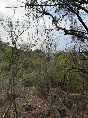 OFREZCO TERRENO EN VENTA EN JARDINES COLONIALES