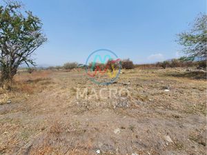 Terreno en Venta en José Ortiz (San Martín) Yautepec