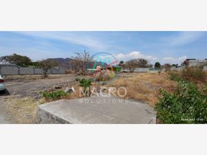 Terreno en Venta en Corral Grande Yautepec