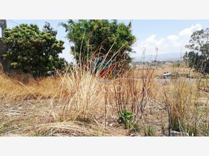 Terreno en Venta en Telminca Atlatlahucan