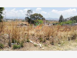 Terreno en Venta en Telminca Atlatlahucan