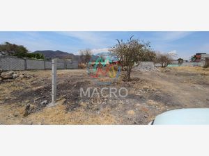 Terreno en Venta en Corral Grande Yautepec