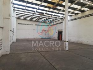 Bodega en Renta en Parque Industrial Cuautla Ayala