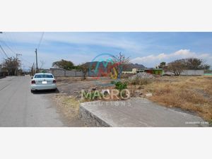 Terreno en Venta en Corral Grande Yautepec