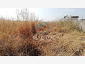 Terreno en Venta en Yecapixtla Yecapixtla