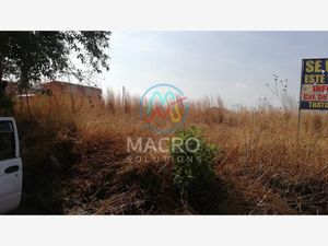 Terreno en Venta en Yecapixtla Yecapixtla