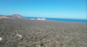 3 hectareas en Cabo Pulmo