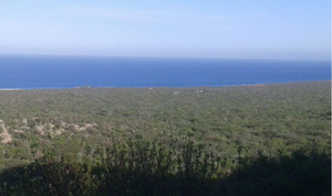 1.75km de Playa en Bahia de los Frailes