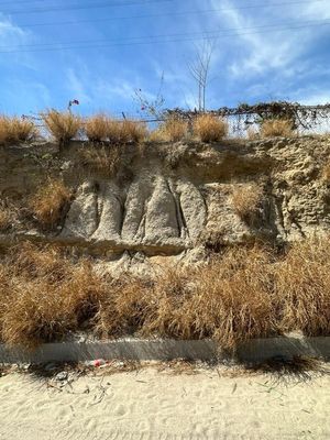 TERRENO COMERCIAL CON FRENTE A LA TRANSPENINSULAR