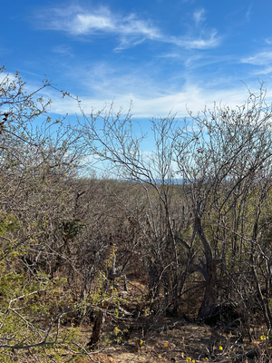 Large Lots in Permaculture community