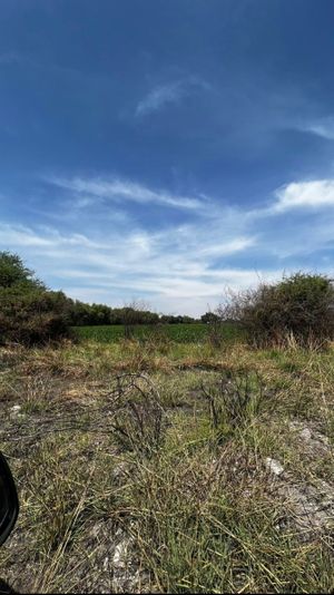 VENTA TERRENO AGRICOLA/INDUSTRIAL EN CARRETERA LIBRE A CELAYA .2