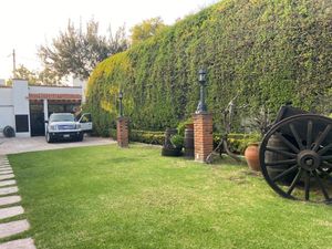 Casa en Renta en Lomas de Chapultepec I Sección Miguel Hidalgo