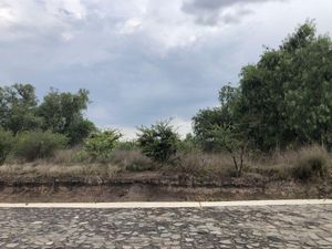 Terreno en Venta en Paseos Tepeji Tepeji del Río de Ocampo