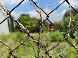 Terreno en Venta en Lomas de Tecamachalco Sección Bosques I y II Huixquilucan