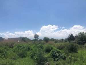 Terreno en Venta en Acuitlapilco Primera Sección Chimalhuacán