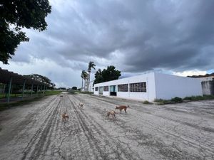 FABRICA EN RENTA EN COLONIA MAYAPAN