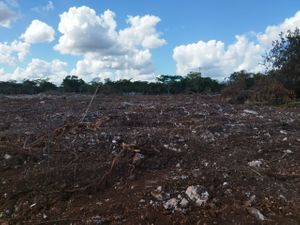 TERRENO  CON PROYECTO PARA BODEGAS EN VENTA