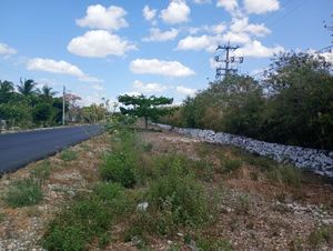 TERRENO EN VENTA FRENTE A CARRETERA EN SUMA YUCATAN.