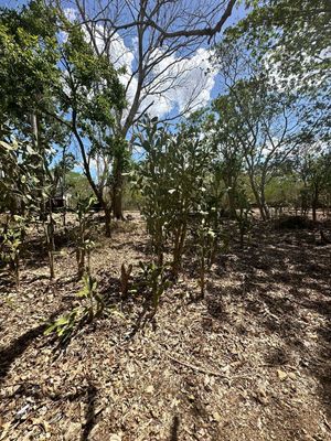 TERRENO DE INVERSIÓN SUMA