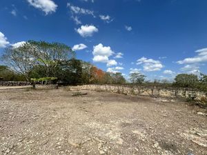 TERRENO EN VENTA FRENTE A CARRETERA EN SUMA YUCATAN.