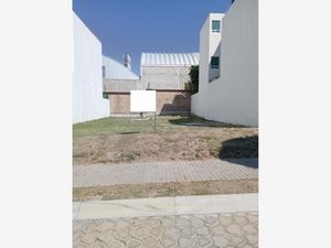 Terreno en Venta en Lomas de Angelópolis San Andrés Cholula