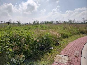 Terreno en Venta en San Bartolomé Aguas Calientes Apaseo El Alto