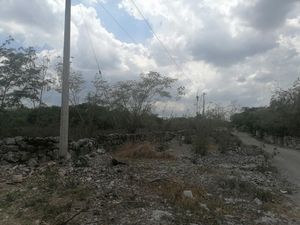 Terreno  en el poniente de Mérida entre Dzityá y Gran Santa Fe Norte