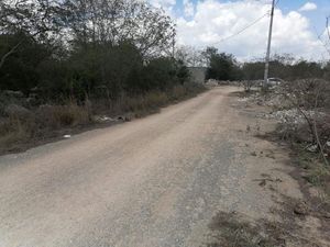 Terreno  en el poniente de Mérida entre Dzityá y Gran Santa Fe Norte