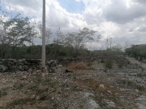 Terreno  en el poniente de Mérida entre Dzityá y Gran Santa Fe Norte