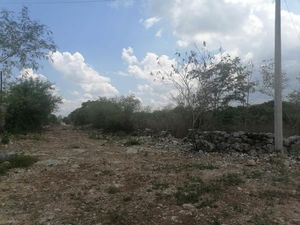 Terreno  en el poniente de Mérida entre Dzityá y Gran Santa Fe Norte