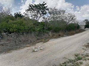 Terreno  en el poniente de Mérida entre Dzityá y Gran Santa Fe Norte