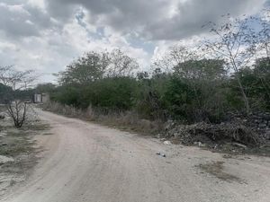 Terreno  en el poniente de Mérida entre Dzityá y Gran Santa Fe Norte