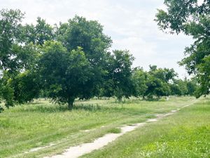 Finca/Rancho en Venta en El Saucito Guerrero