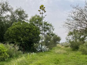 Terreno en Venta en La Miseria Nava