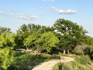 Finca/Rancho en Venta en Rodríguez Guerrero