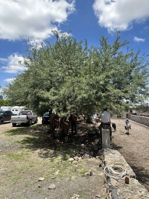 VENTA DE TERRENO EN LOS OLVERA CORREGIDORA