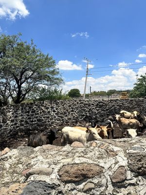 VENTA DE TERRENO EN LOS OLVERA CORREGIDORA