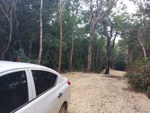 TERRENO EN TULUM