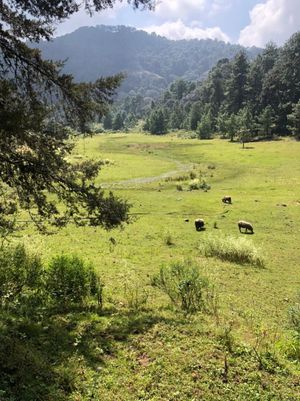 Peñon de la Laguna Negra